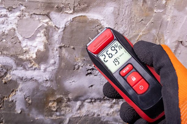 Best Basement Mold Remediation in Hoover, AL